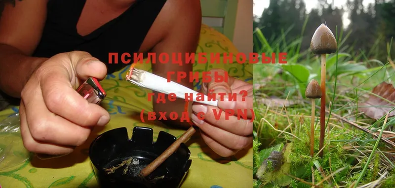 Псилоцибиновые грибы Magic Shrooms Новосиль